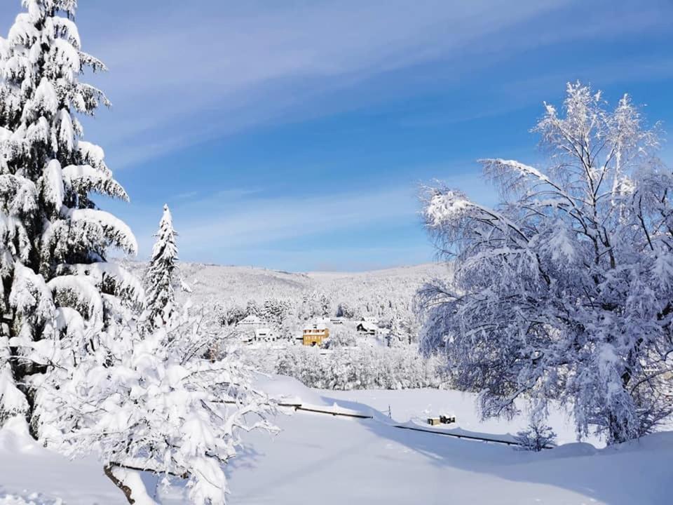 Studio Soleil Au Hohwald Exterior foto